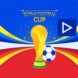 世界杯出厂动画是什么(世界杯动画直播与直播的区别在哪)