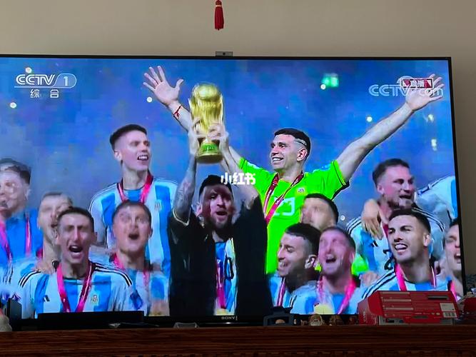 赢世界杯(世界杯谁赢了2022) 赢世界杯(世界杯谁赢了2022)