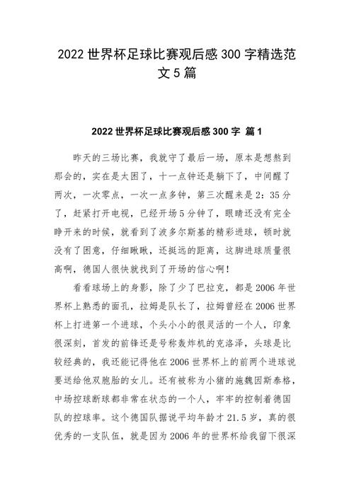 流浪汉世界杯预选赛?《流浪汉世界杯》观后感 流浪汉世界杯预选赛?《流浪汉世界杯》观后感
