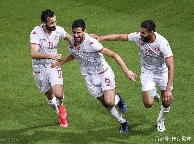 突尼斯的世界杯 突尼斯队参加过几次世界杯