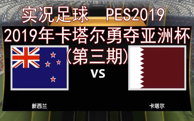 新西兰对卡塔尔世界杯？新西兰进过世界杯吗