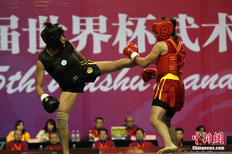 散打世界杯武汉站 散打比赛