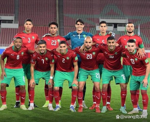 卡塔尔 世界杯，卡塔尔参加过几次世界杯