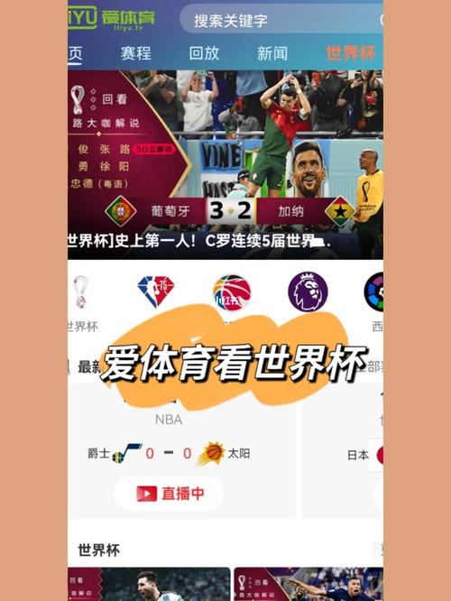 世界杯去哪儿看比赛？哪里可以看往届世界杯回放