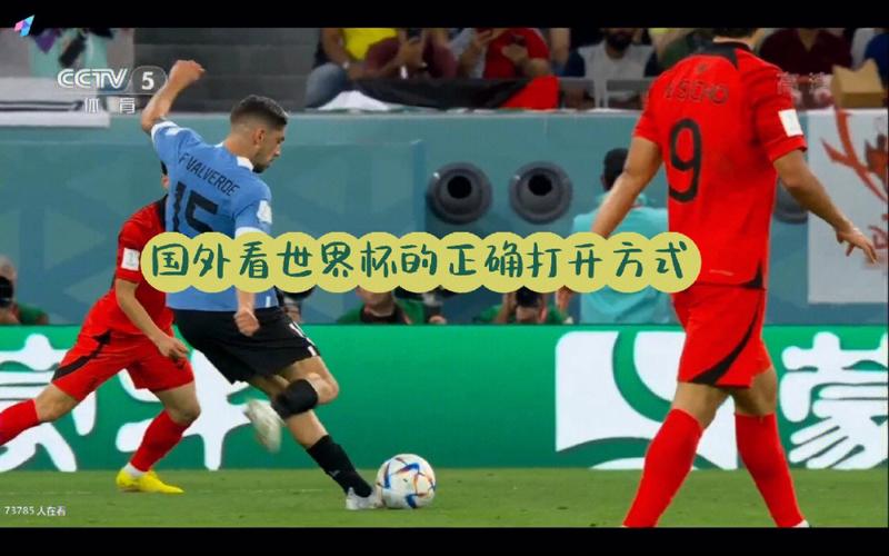 我要看把世界杯的 世界杯在哪里看 我要看把世界杯的 世界杯在哪里看