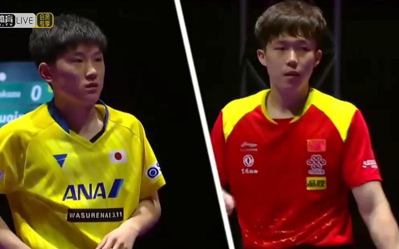 世界杯张本智和战况，WTT世界杯决赛,王楚钦与张本智和争冠,王楚钦的实力有多强