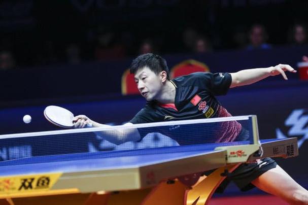 樊振东和马龙世界杯决赛(盘点马龙和樊振东历次交手胜负) 樊振东和马龙世界杯决赛(盘点马龙和樊振东历次交手胜负)