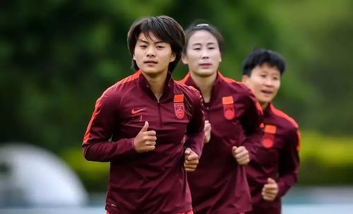 王霜看世界杯比赛？如何评价女足队员王霜