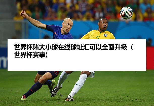 世界杯买大小球？世界杯大小球什么意思