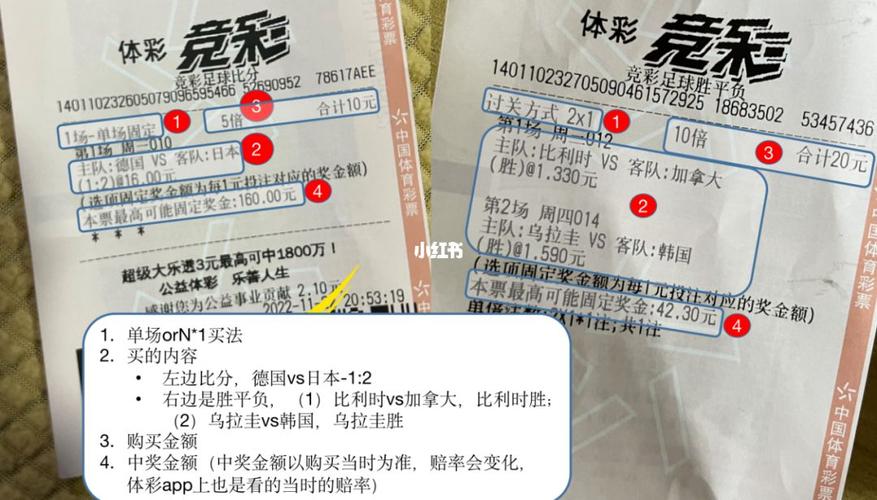 竞猜世界杯提前多久买票，世界杯体彩是开赛前多久不能买
