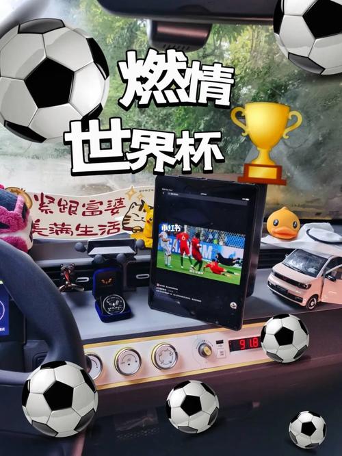 在哪里看世界杯(世界杯在哪里看)