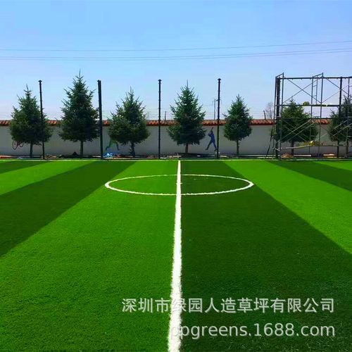 世界杯球场草皮，世界杯足球场的草皮是什么草啊