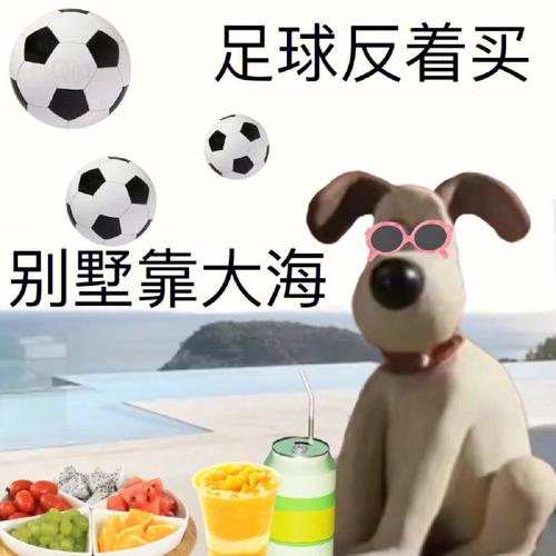 世界杯表情包2022，世界杯都有哪些表情包和段子
