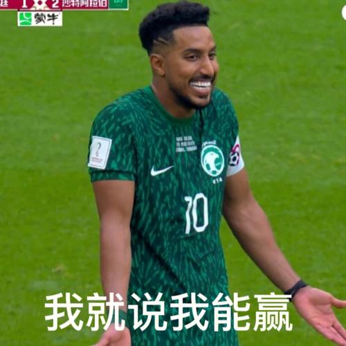 世界杯表情包2022，世界杯都有哪些表情包和段子