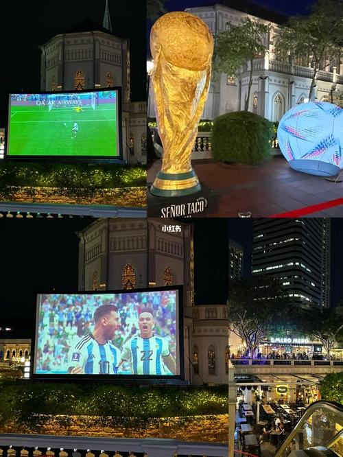 播放新加坡世界杯直播时间？在新加坡用什么软件看世界杯