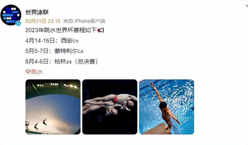 跳水世界杯2019央视(跳水世界杯蒙特利尔直播在哪看)