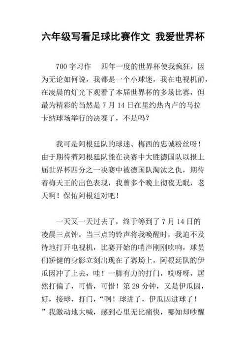 世界杯简稿，世界杯的新闻特写作文