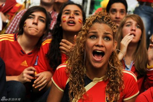 世界杯球迷分享，世界杯球迷支持同一国家的球迷怎么坐一起的