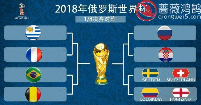 2014世界杯8强 巴西世界杯八强排名