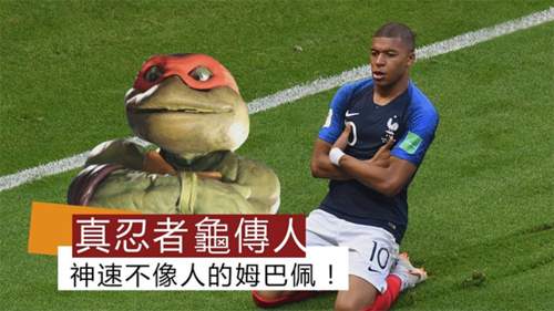 世界杯神龟 忍者神龟是哪个球员