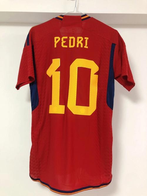 世界杯西班牙队服,2010世界杯西班牙主场球衣样式 世界杯西班牙队服,2010世界杯西班牙主场球衣样式