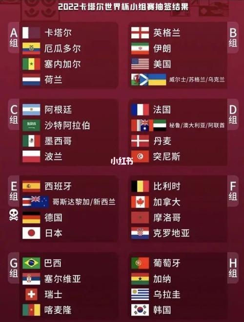 世界杯名单公布,卡塔尔世界杯32支球队名单 世界杯名单公布,卡塔尔世界杯32支球队名单