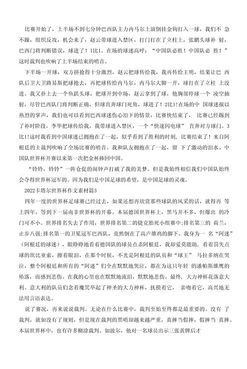 世界杯文，求一篇关于世界杯的短文