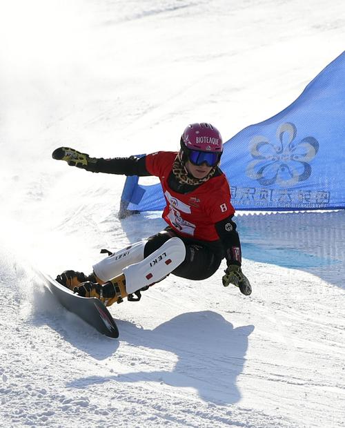 世界杯单板?单板滑雪的起源 世界杯单板?单板滑雪的起源