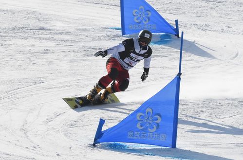 世界杯单板?单板滑雪的起源 世界杯单板?单板滑雪的起源