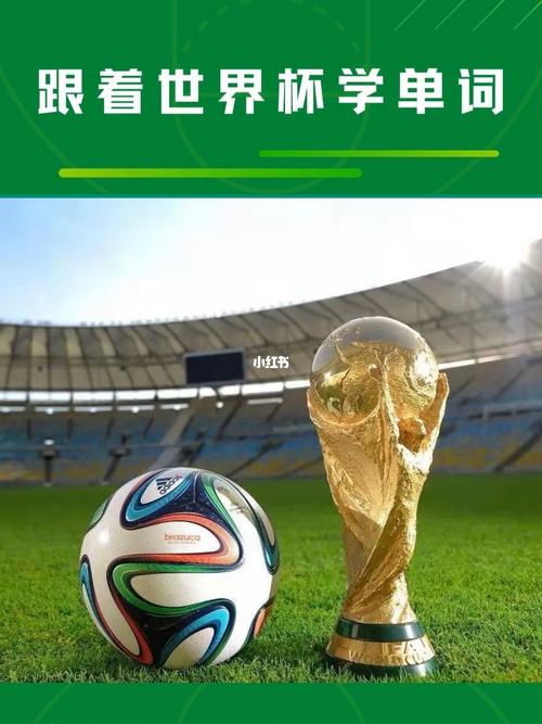 世界杯 热词 世界杯热词