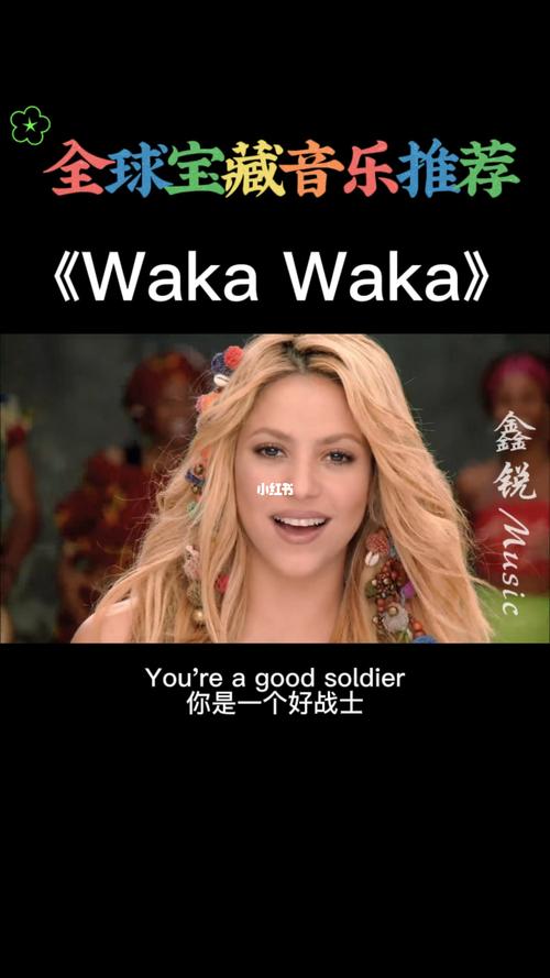 2010足球世界杯主题曲，2010世界杯主题歌曲