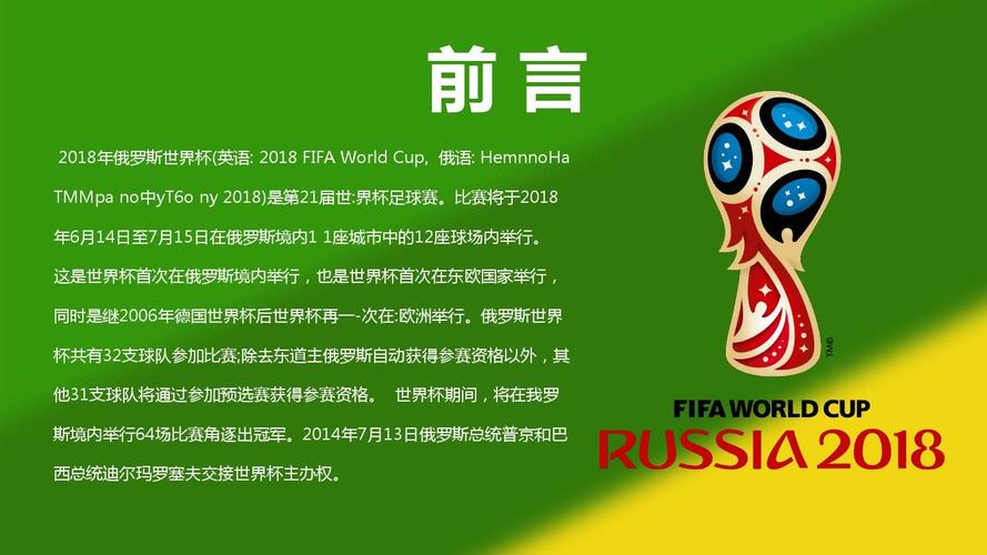 看世界杯介绍(对于世界杯的看法)