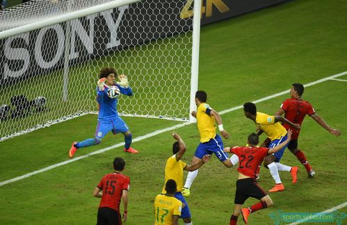 世界杯墨西哥门将？2014巴西世界杯,墨西哥的门将叫什么