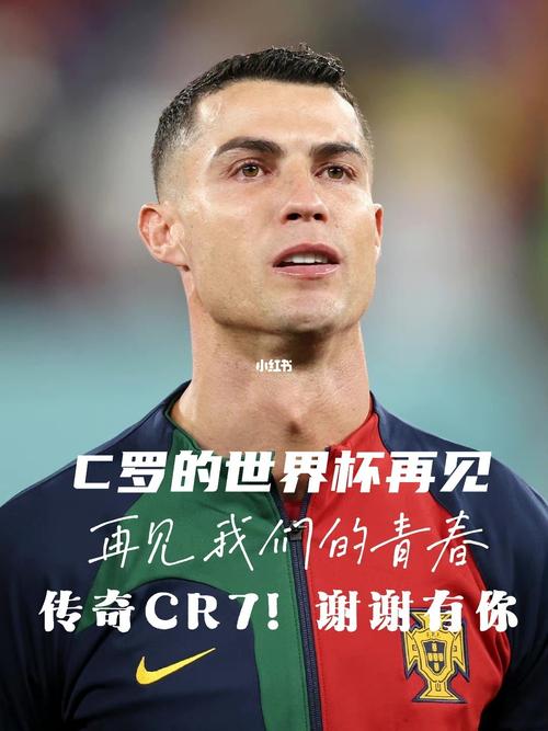 再见世界杯(再见轮回这首歌世界杯什么时候播放) 再见世界杯(再见轮回这首歌世界杯什么时候播放)