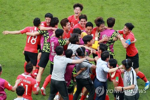 2010世界杯韩国队 韩国2010世界杯第几名 2010世界杯韩国队 韩国2010世界杯第几名