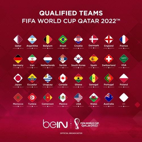 最新世界杯(2022世界杯国家排名) 最新世界杯(2022世界杯国家排名)