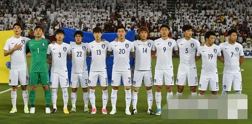 韩国队世界杯2012 韩国队2002年世界杯阵容 韩国队世界杯2012 韩国队2002年世界杯阵容