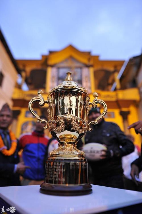 世界杯橄榄球赛，橄榄球世界杯赛的冠军队,获得的奖杯是什么