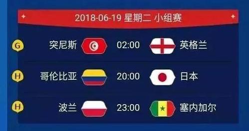 世界杯预选赛有多少轮 世界杯预选赛一共多少轮,前几名晋