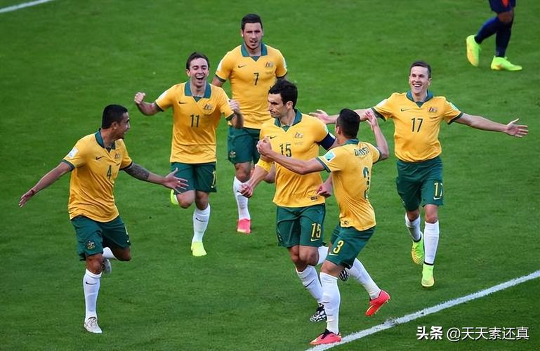 巴西世界杯德国对土耳其(土耳其参加过几次世界杯)