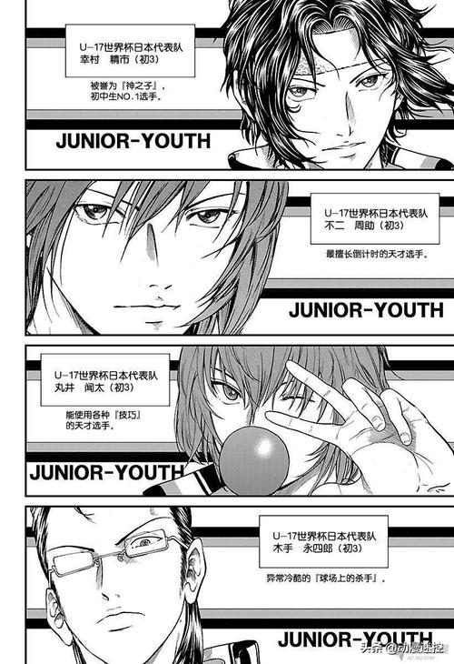 网球王子漫画世界杯，新网球王子里世界杯哪个国家的代表队赢了