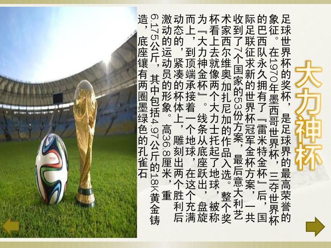 世界杯冠军决赛技巧,世界杯简介~~~ 世界杯冠军决赛技巧,世界杯简介~~~