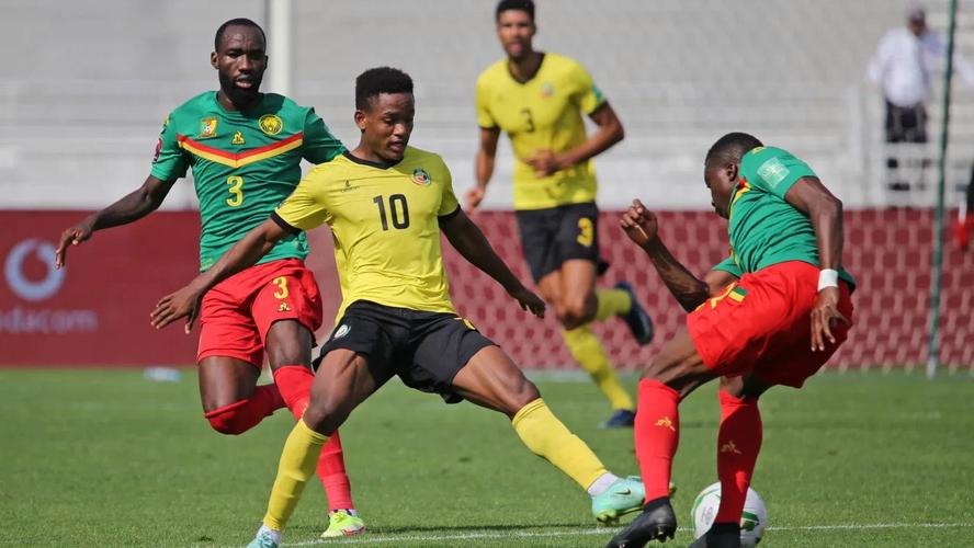 非洲官员世界杯奖金 非洲进过世界杯的国家