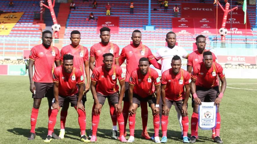 非洲官员世界杯奖金 非洲进过世界杯的国家