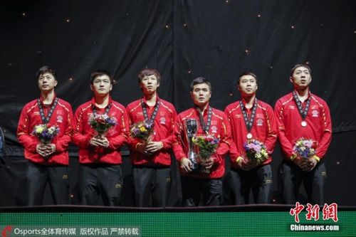 团体世界杯韩国合影(乒乓球世界杯有团体赛吗)