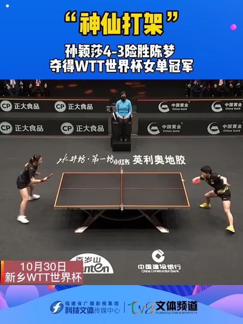 wtt世界杯女单冠军颁奖，孙颖莎夺得WTT世界杯决赛女单冠军,她荣获过哪些奖项