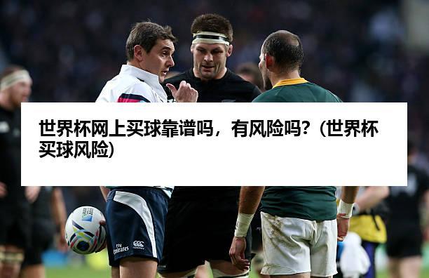 世界杯网是什么，世界杯进球的球网是什么