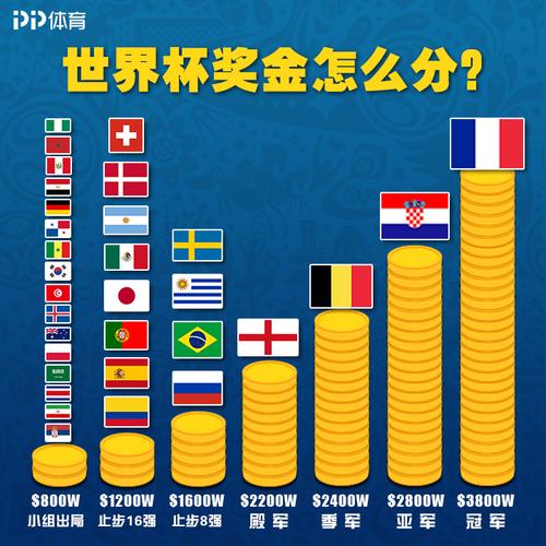 运动员世界杯奖金(世界杯奖金由谁出的)