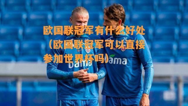 欧国联冠军世界杯资格(拿欧国联冠军有什么用)