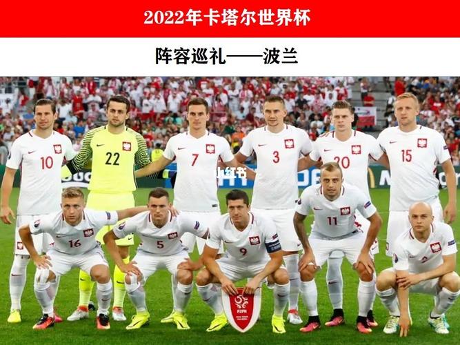 波兰世界杯阵容(2022世界杯波兰主力阵容)